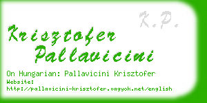 krisztofer pallavicini business card